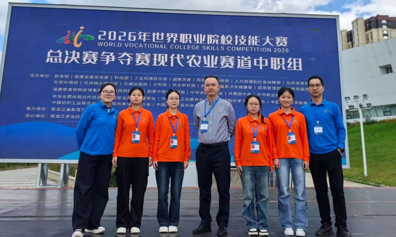 图片7 图片7
